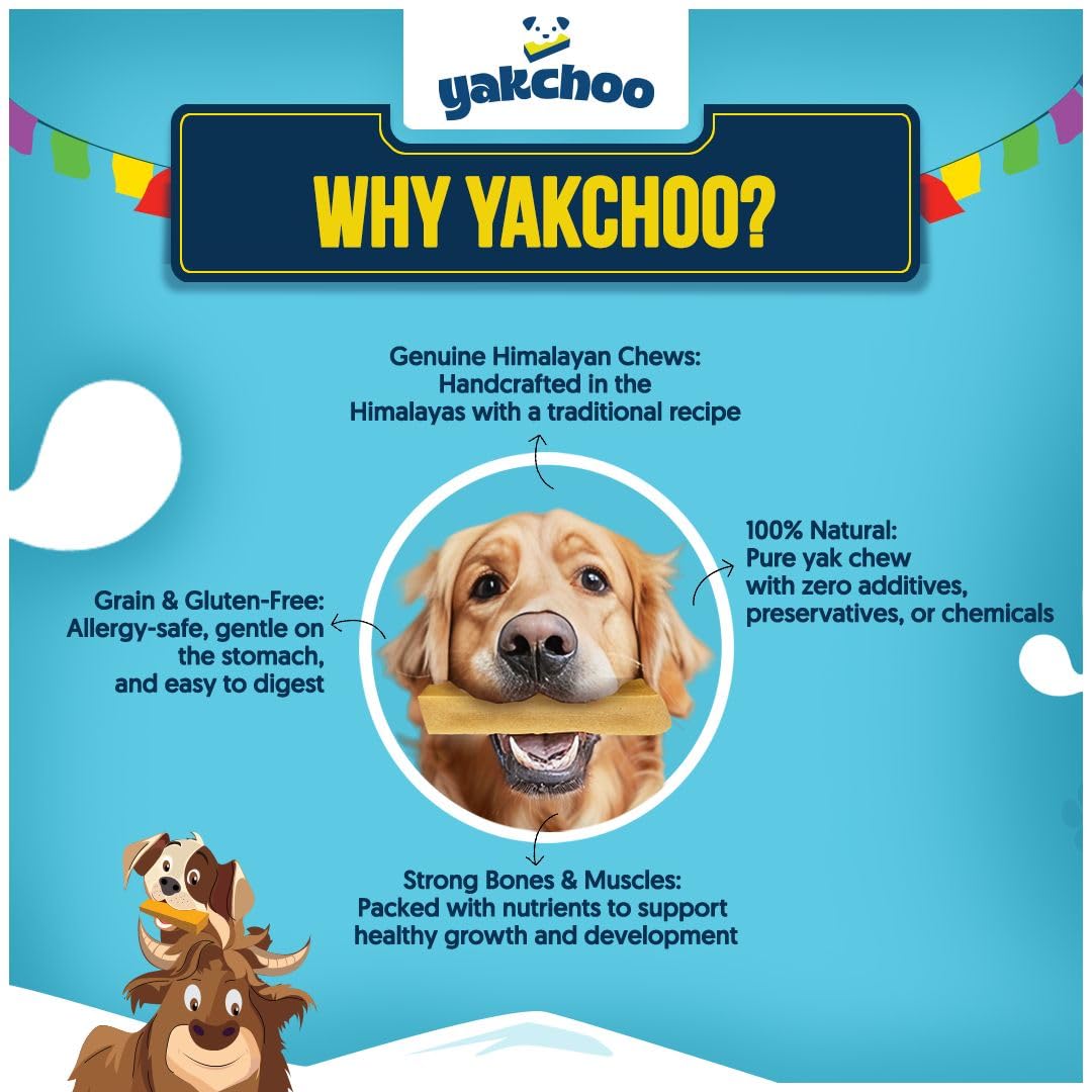 Yakchoo Real Himalayan Dog Chews odorless, mess-free chew.