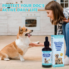 Yakucho trachea elixir dropper demonstrates easy dosing for canine respiratory care