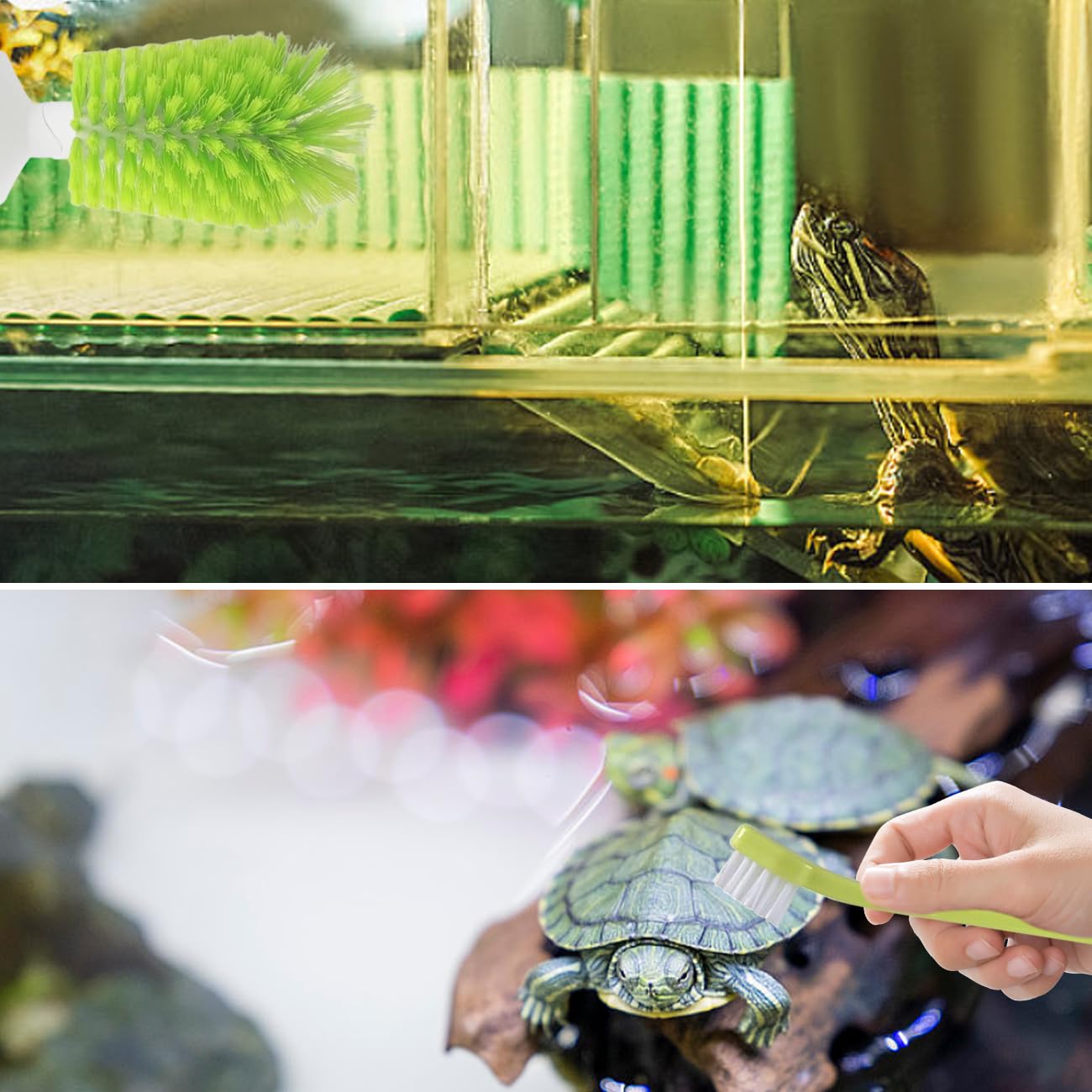 YANCONGLIDEYAN multi-functional cleaning tool for turtle tank care