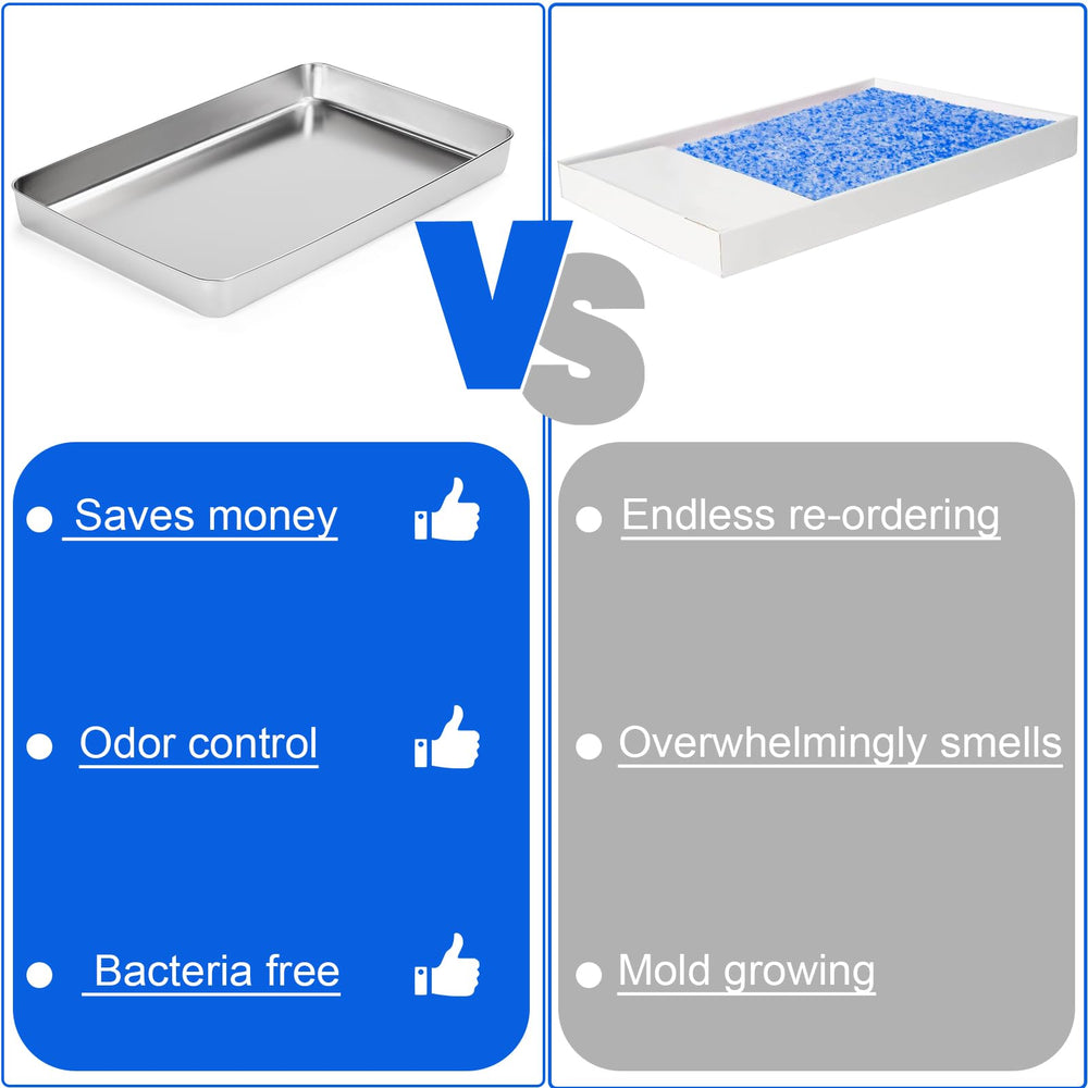 Yangbaga open-litter-area design—more poop collection and easier scooping.