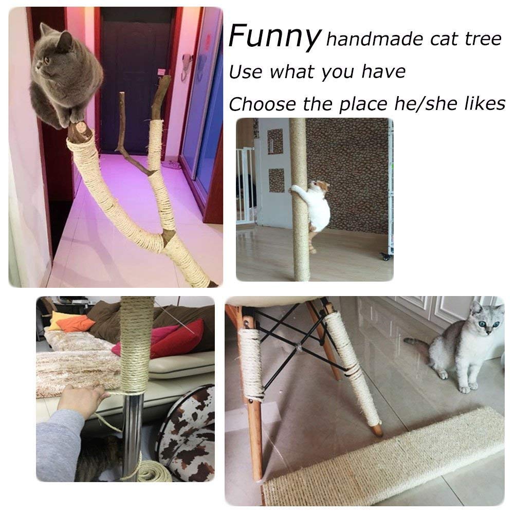Yangbaga traditional processing and air drying preserves texture for satisfying cat scratch.