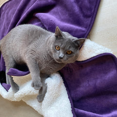 Yaning double-sided-sherpa-flannel blanket offers cozy warmth and reversible comfort for pets.