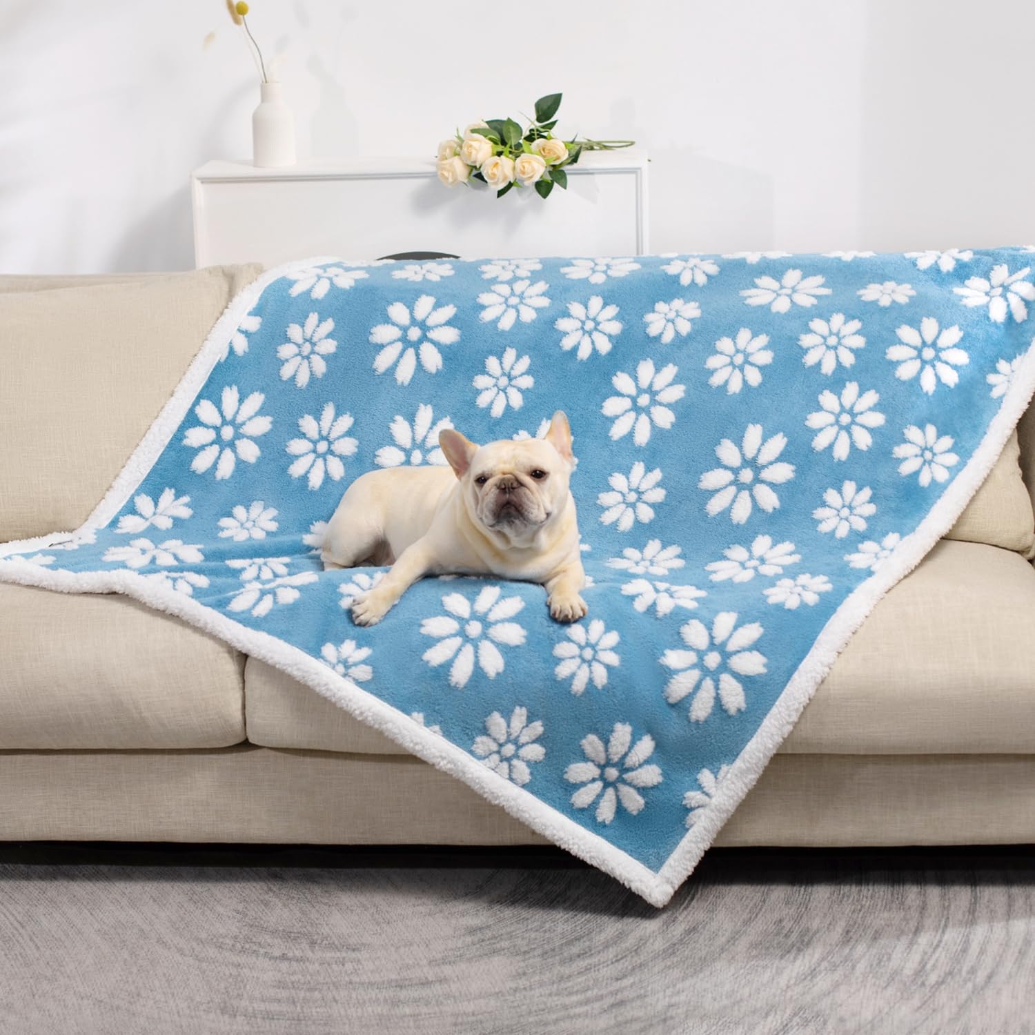 Yaning gift-ready design makes a thoughtful present for pet lovers and busy households.