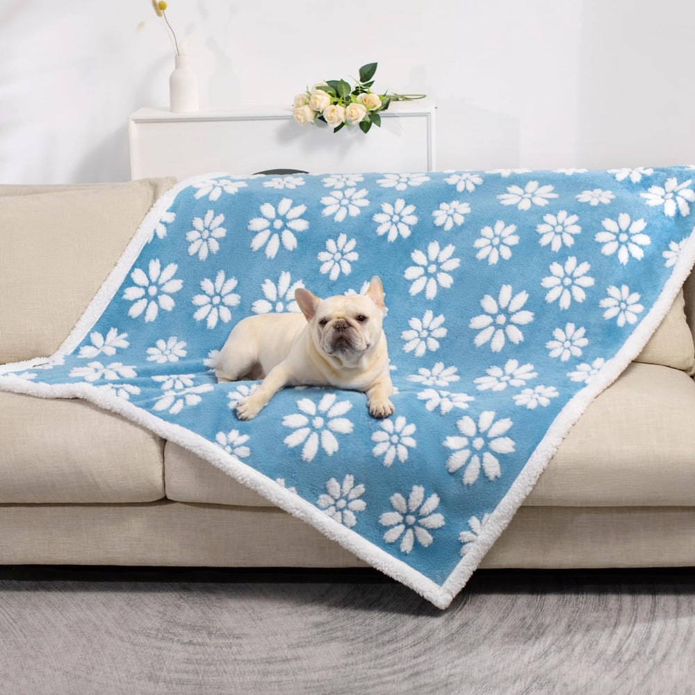 Yaning gift-ready design makes a thoughtful present for pet lovers and busy households.