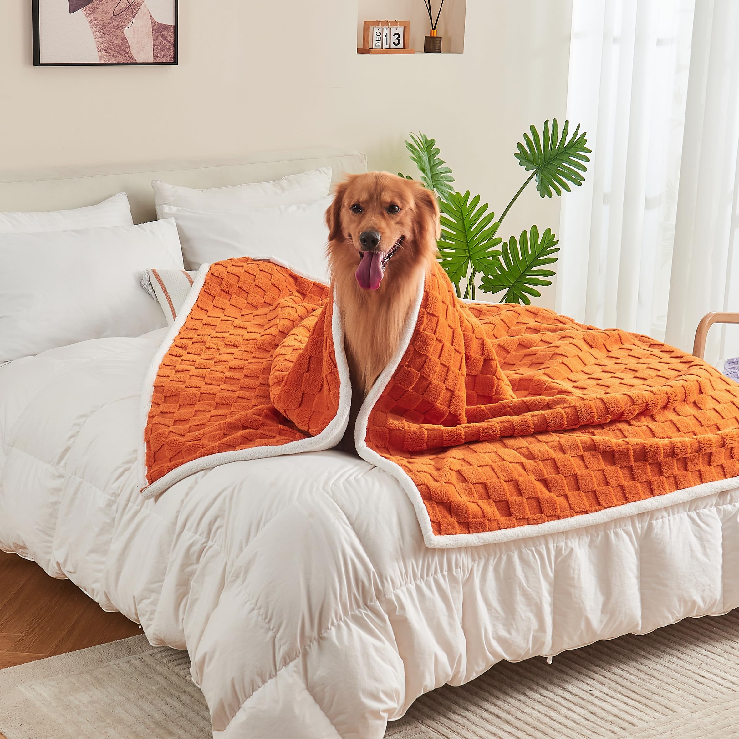 Manta Yaning con diseño a cuadros jacquard aporta estilo moderno.