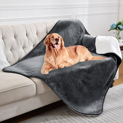 Yaning waterproof blanket on couch with dog demonstrates cozy, pet-friendly protection.