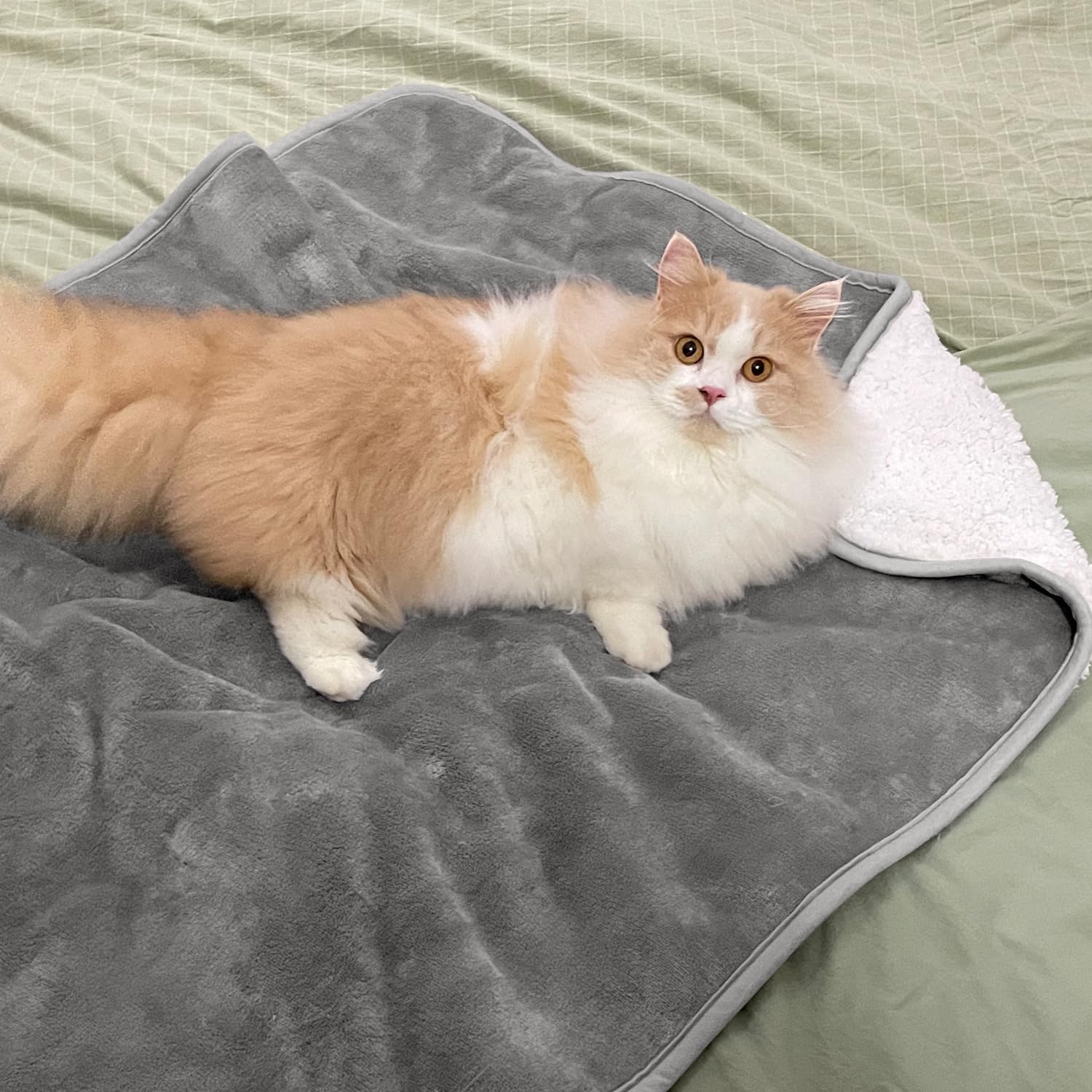 Yaning Waterproof Blanket on sofa guards against fur and stains during lounging.