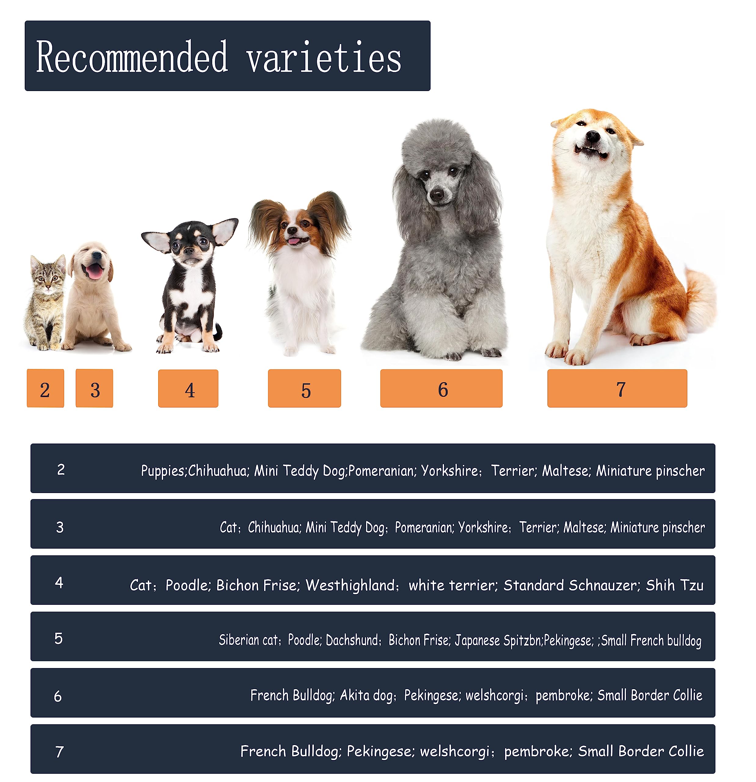 YAODHAOD dog shoes blue size7 on-paw wear shows comfortable protection.