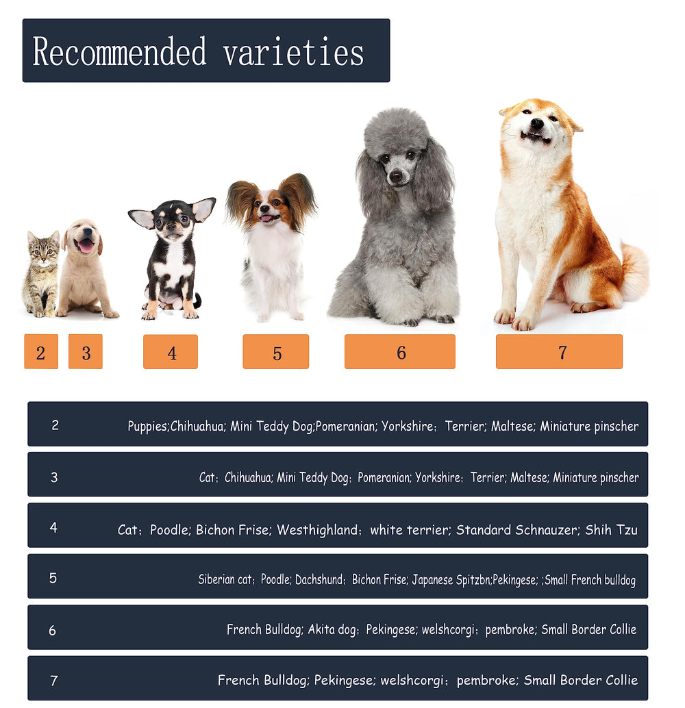 YAODHAOD dog shoes blue size7 on-paw wear shows comfortable protection.