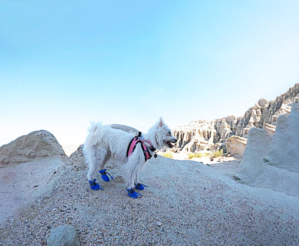 YAODHAOD dog shoes blue size7 side view highlighting non-slip sole.