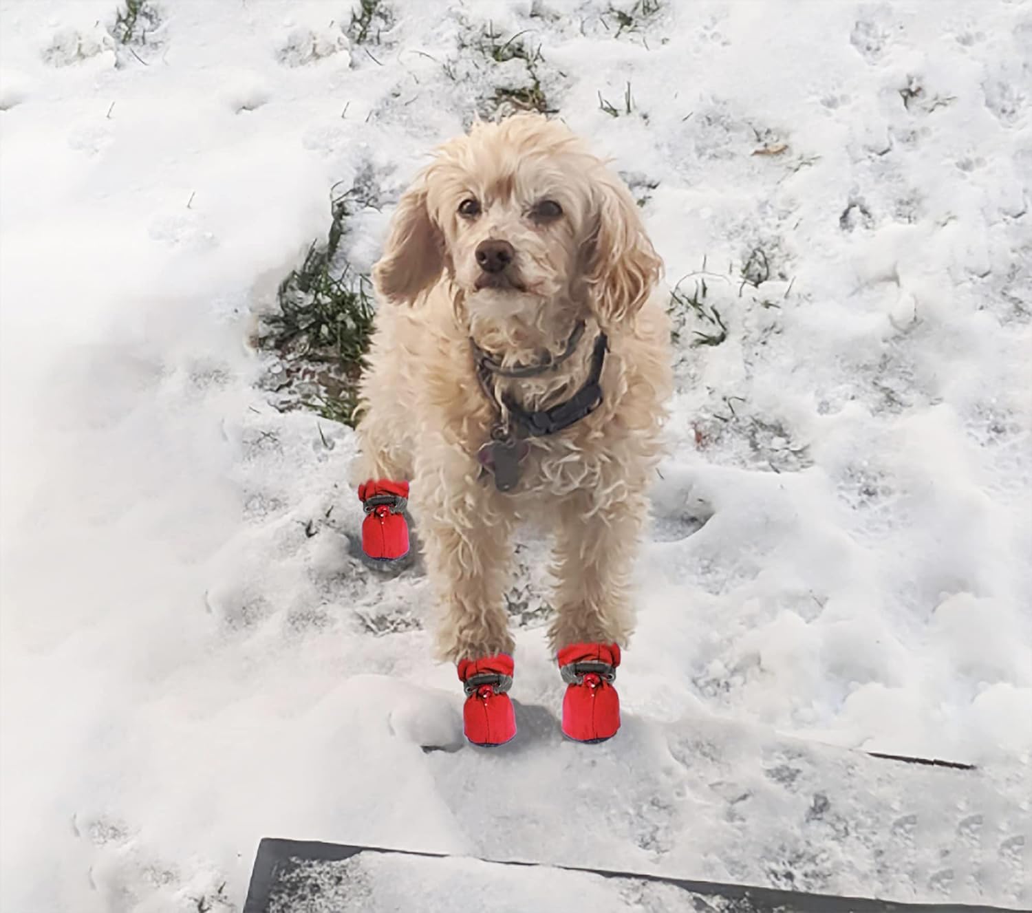 YAODHAOD dog shoes red indoor-floor protection keeps paws and surfaces scratch-free.
