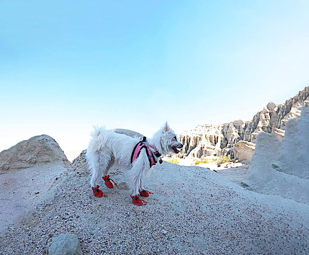YAODHAOD dog shoes red soft-lined interior delivers cozy paw protection.