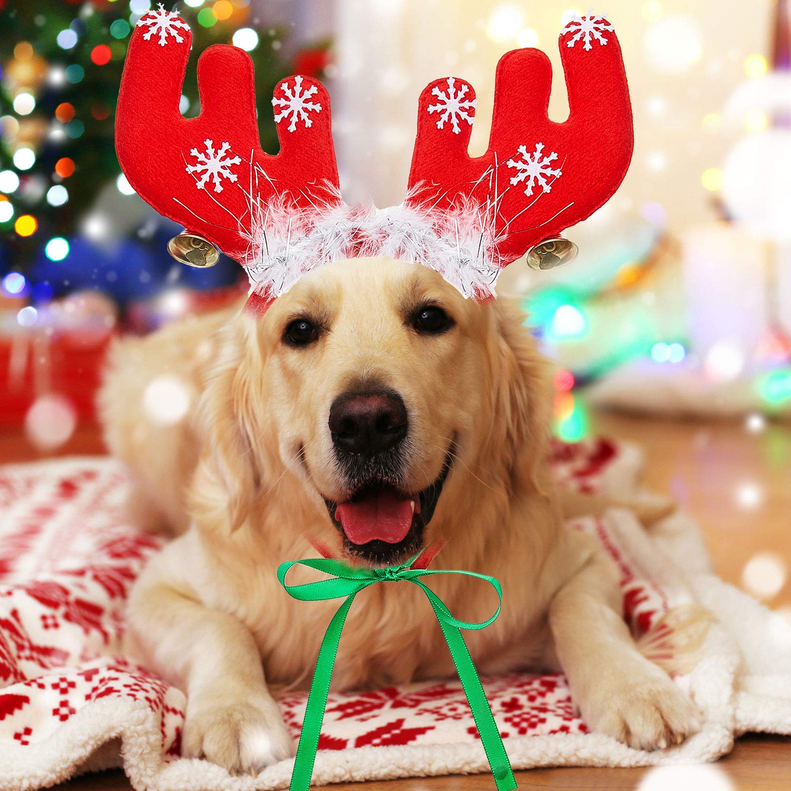 Yaomiao elk headband on a cat ideal for cute Christmas photo moments