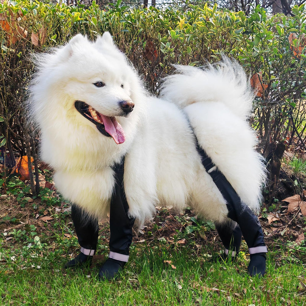 YAQUHO suspender-boots paw-measure-size-chart helps pick the right size.