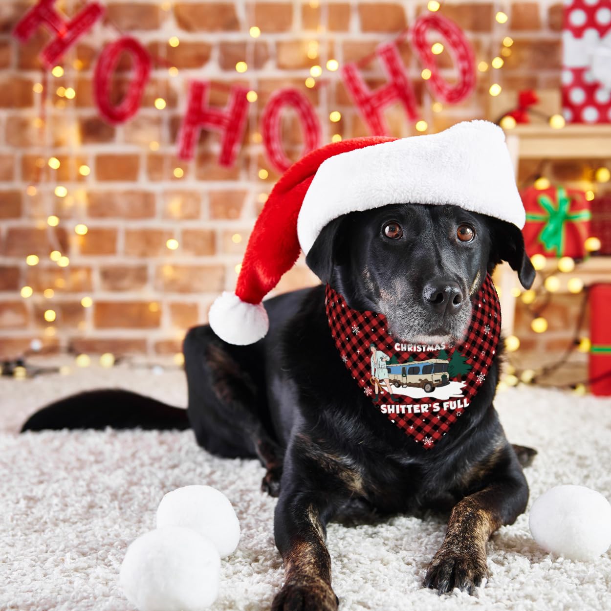 Yarcooly Griswold Christmas scarf brightening home decor and pet photos