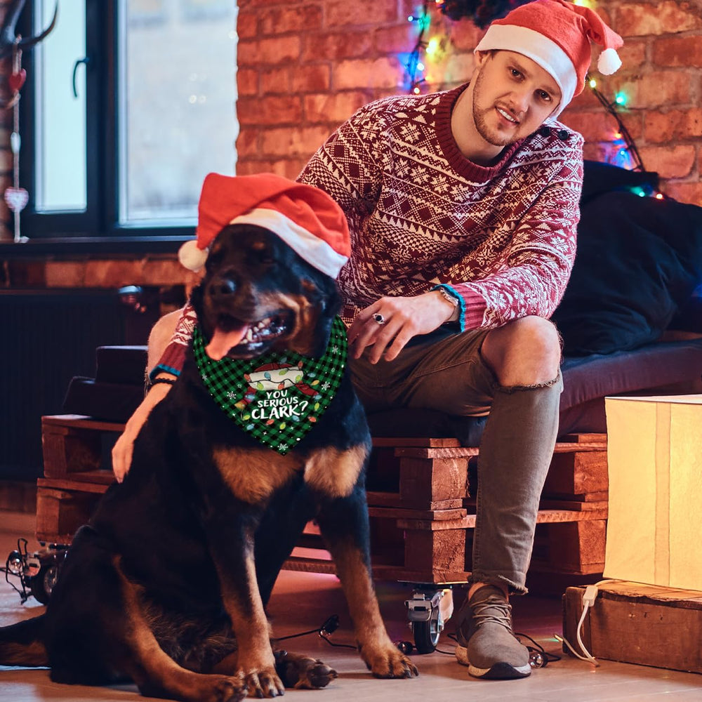 Yarcooly Griswold Eddie Christmas photo setup captures vibrant holiday vibes.