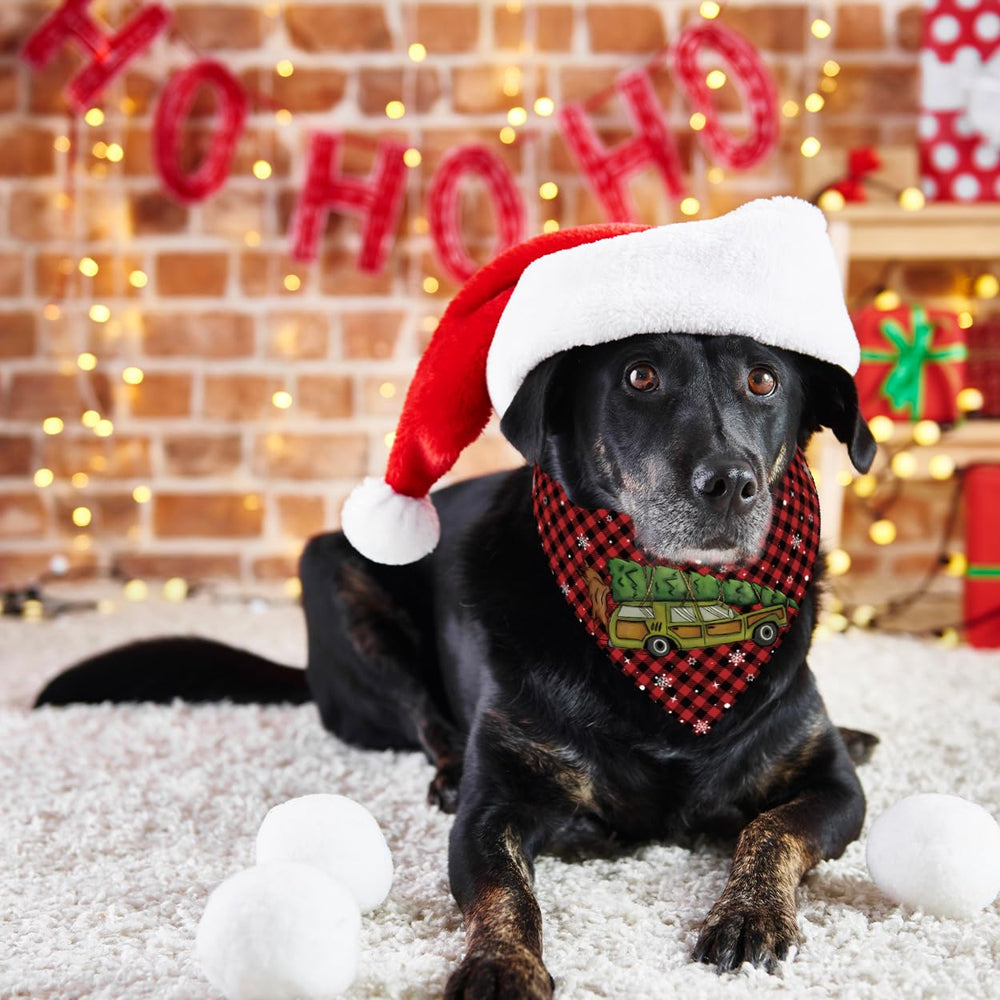 Yarcooly Griswold Eddie bandana packaging shows gift-ready presentation.