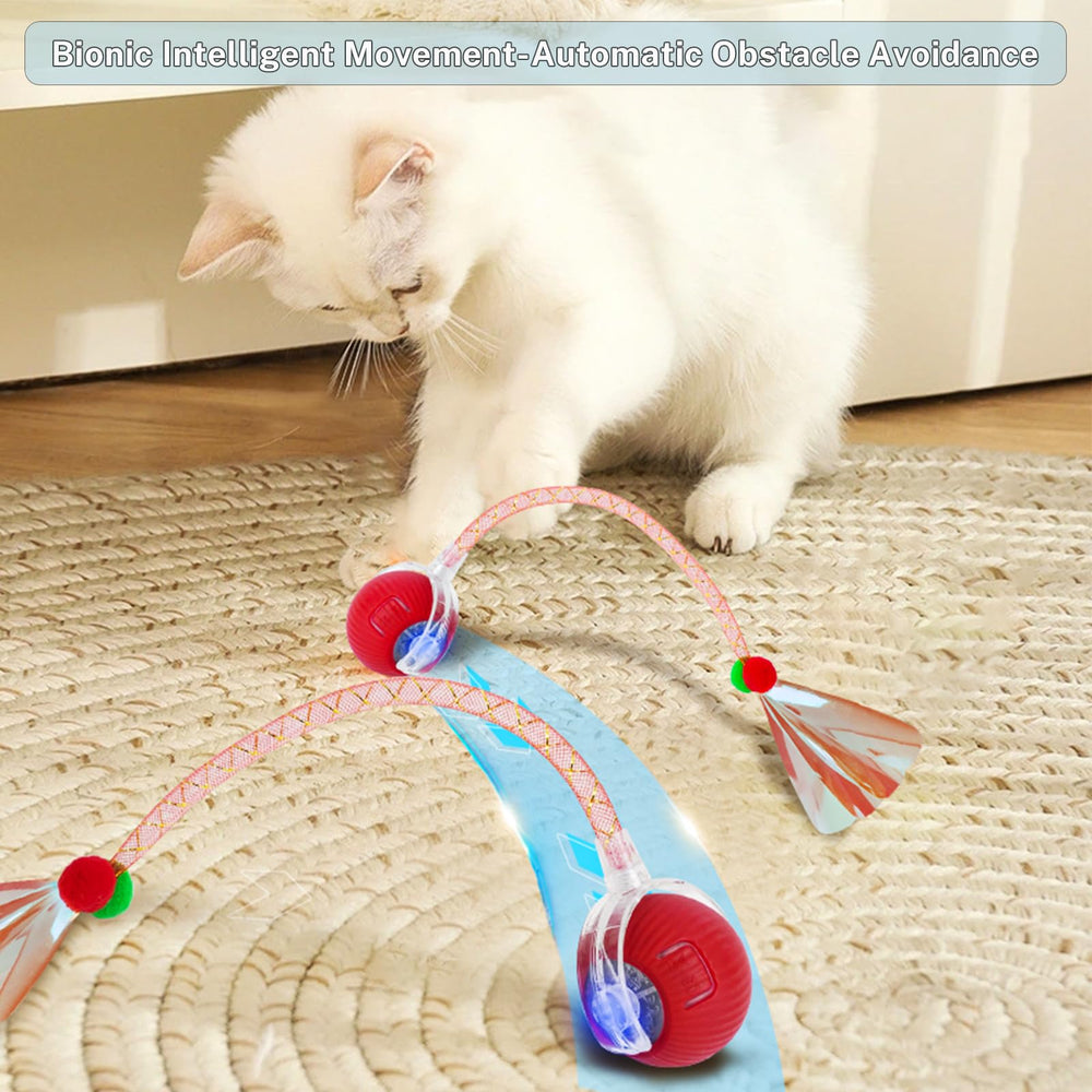 Yaruiguang Speedy Tail 2.0 ball interactive modes demonstrates three settings for cats