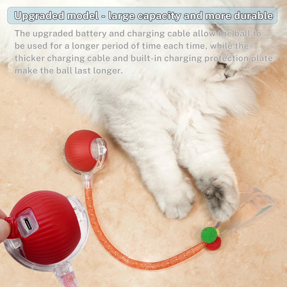 Yaruiguang Speedy Tail 2.0 cleaning and care guide image suggests simple upkeep.