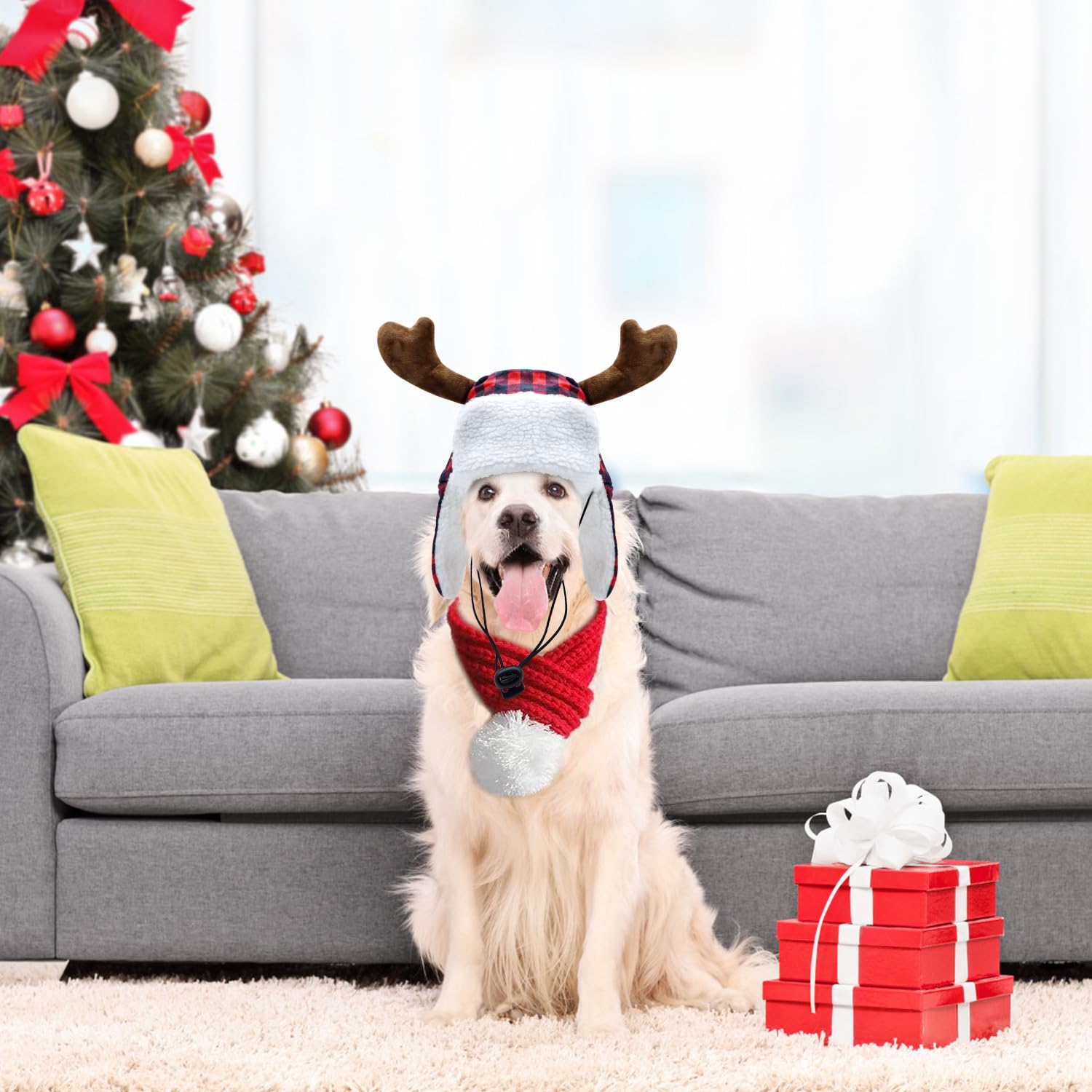 YASUTGAS holiday dress-up set ideal for pet photo sessions.