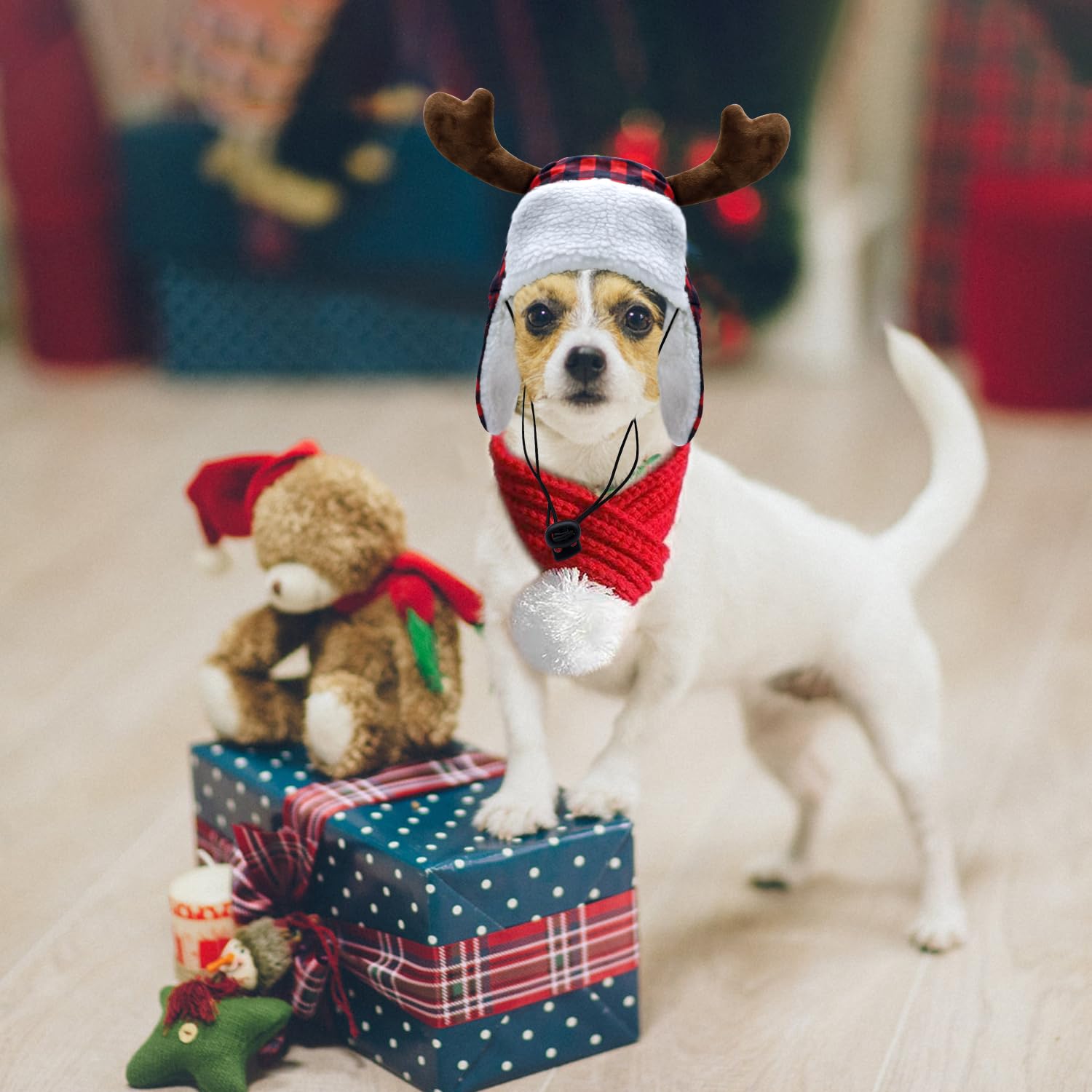 YASUTGAS cozy winter look for pets during chilly outings.