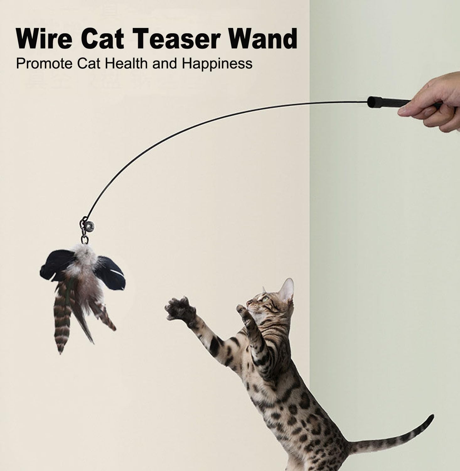 Yauende cat feather toys in use with owner image promoting bonding moments