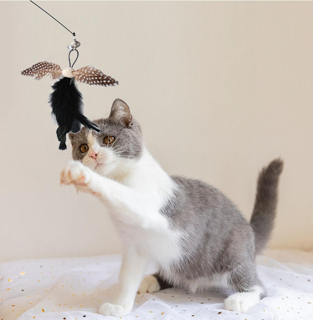 Yauende cat feather toys gift-pack image ideal for cat lovers