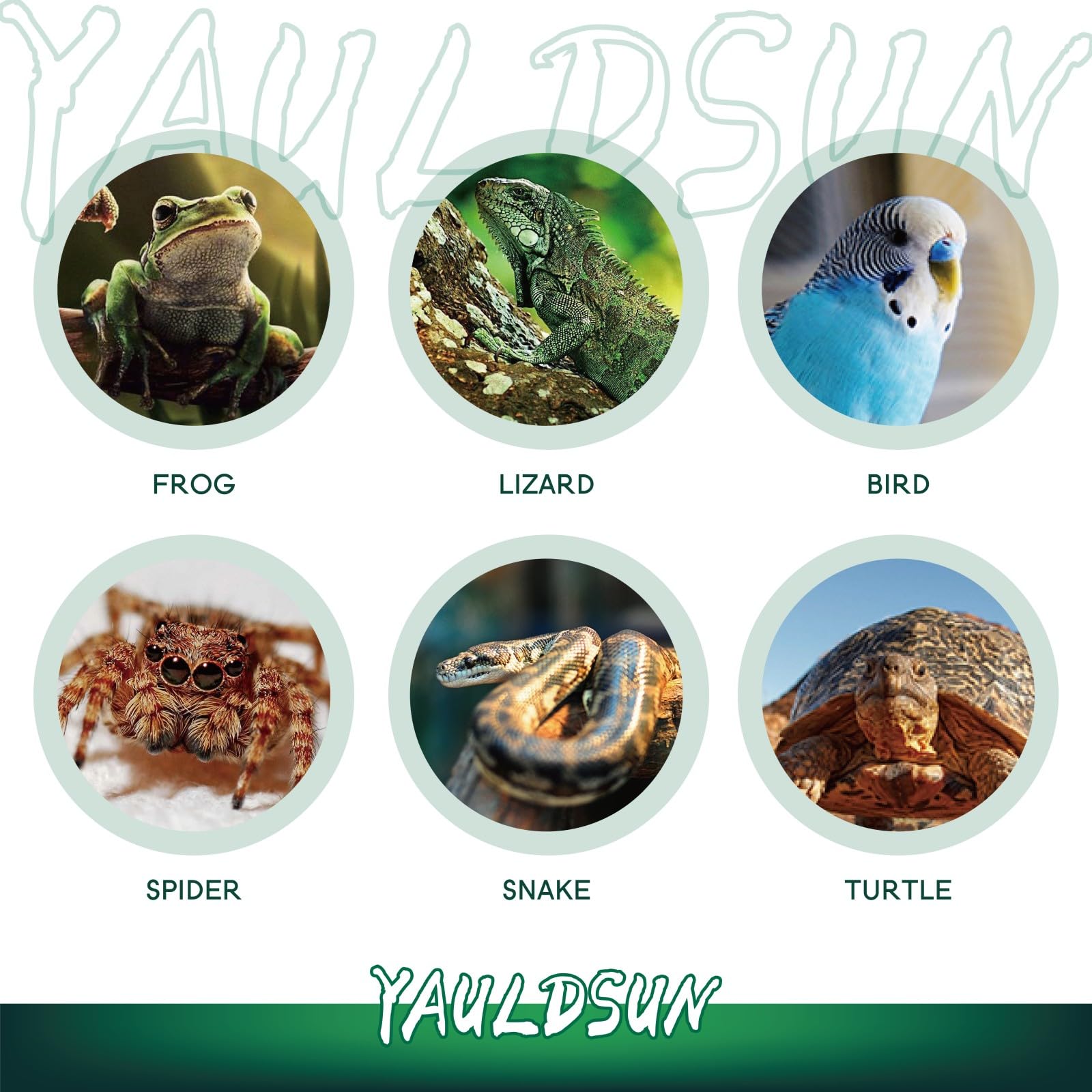 YauldSun 160W UVB basking lamp warms iguana habitat for natural rays