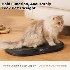 YauYik Pet Scale LED display provides clear readings in dim rooms.