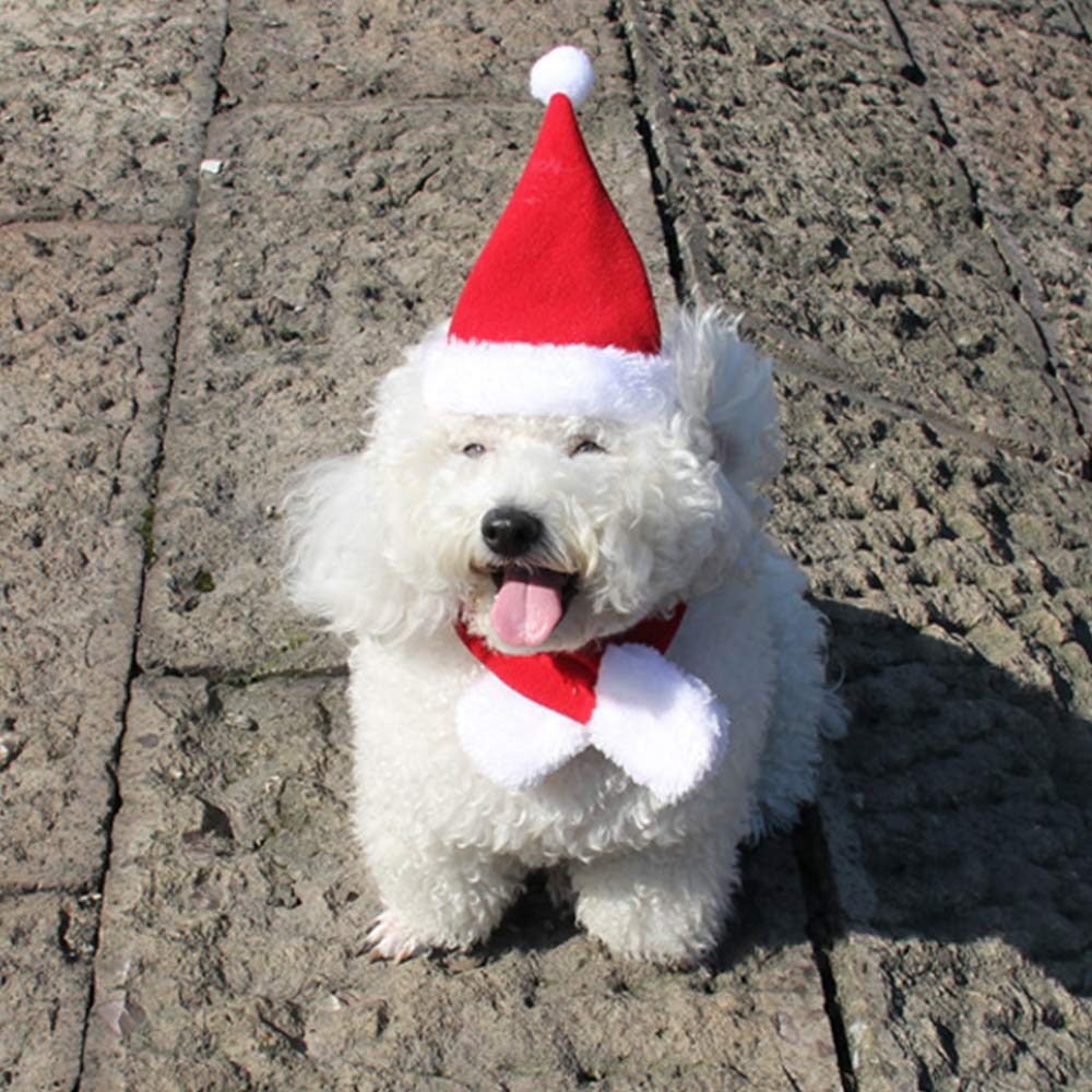 YAXAMING gift-ready pet Santa hats present a memorable holiday surprise.