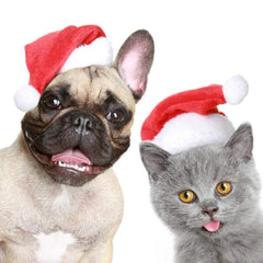 YAXAMING pet Santa hat closeup plush red highlighting cozy festive look.