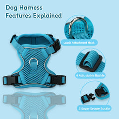 Ychpaw harness with three buckles and a step-in design enables easy on/off.