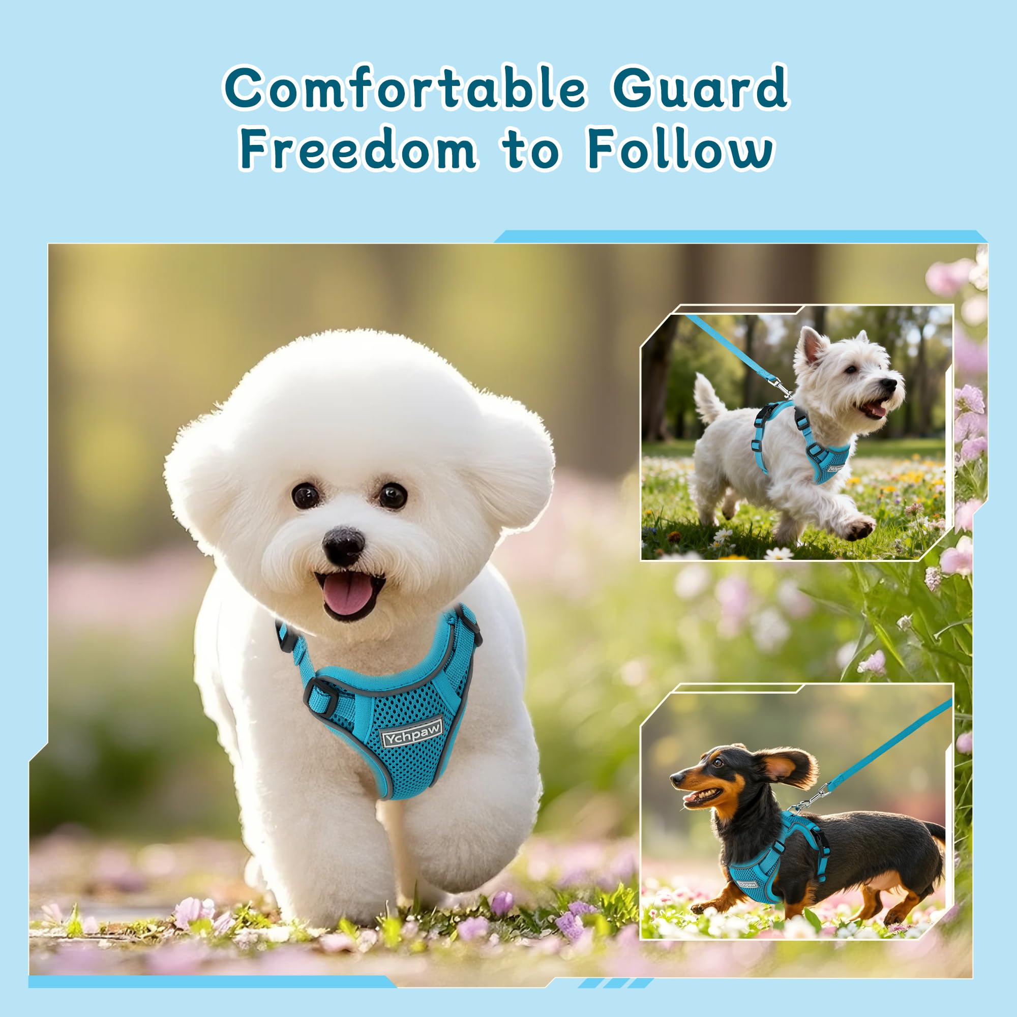 Ychpaw harness turquoise travel-use image highlighting comfortable outings on the go.