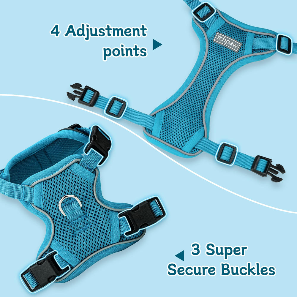 Ychpaw turquoise leash shows a 4.92 ft length for controlled, comfortable walks.