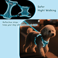 Ychpaw reflective mesh vest enhances visibility during dawn or dusk outings.