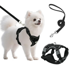Ychpaw small dog harness and leash set on mesh vest for everyday walks