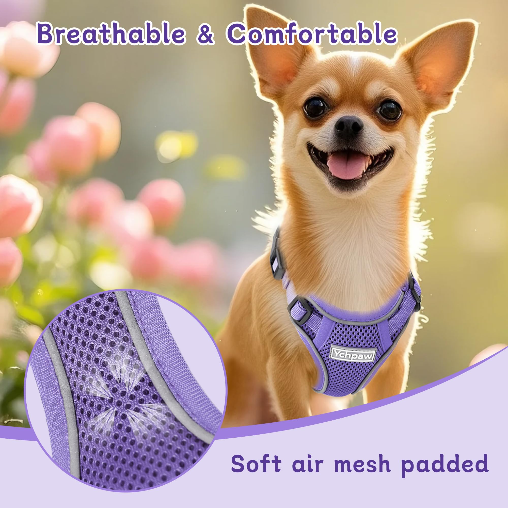 Ychpaw adjustable buckles demonstrate customizable fit for small dogs