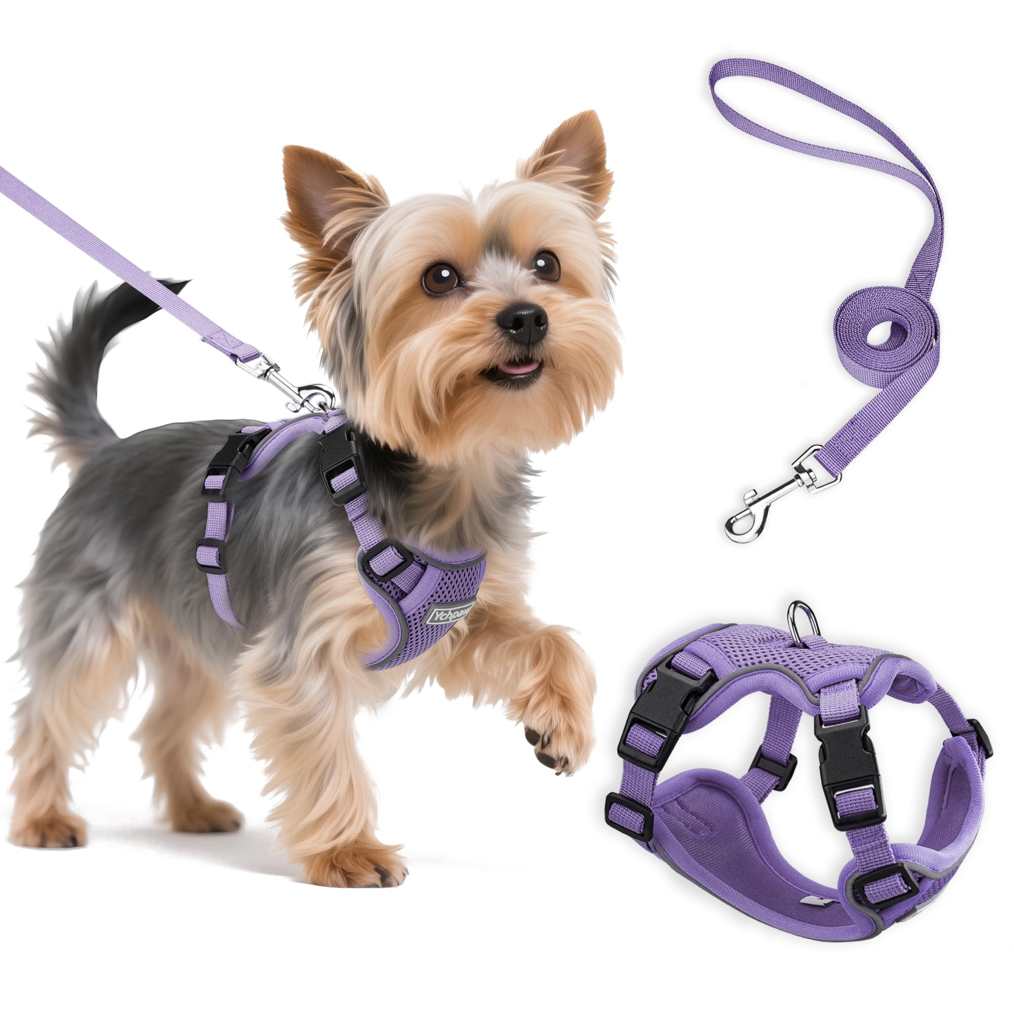 Ychpaw small dog harness purple buckles close-up for secure step-in wear