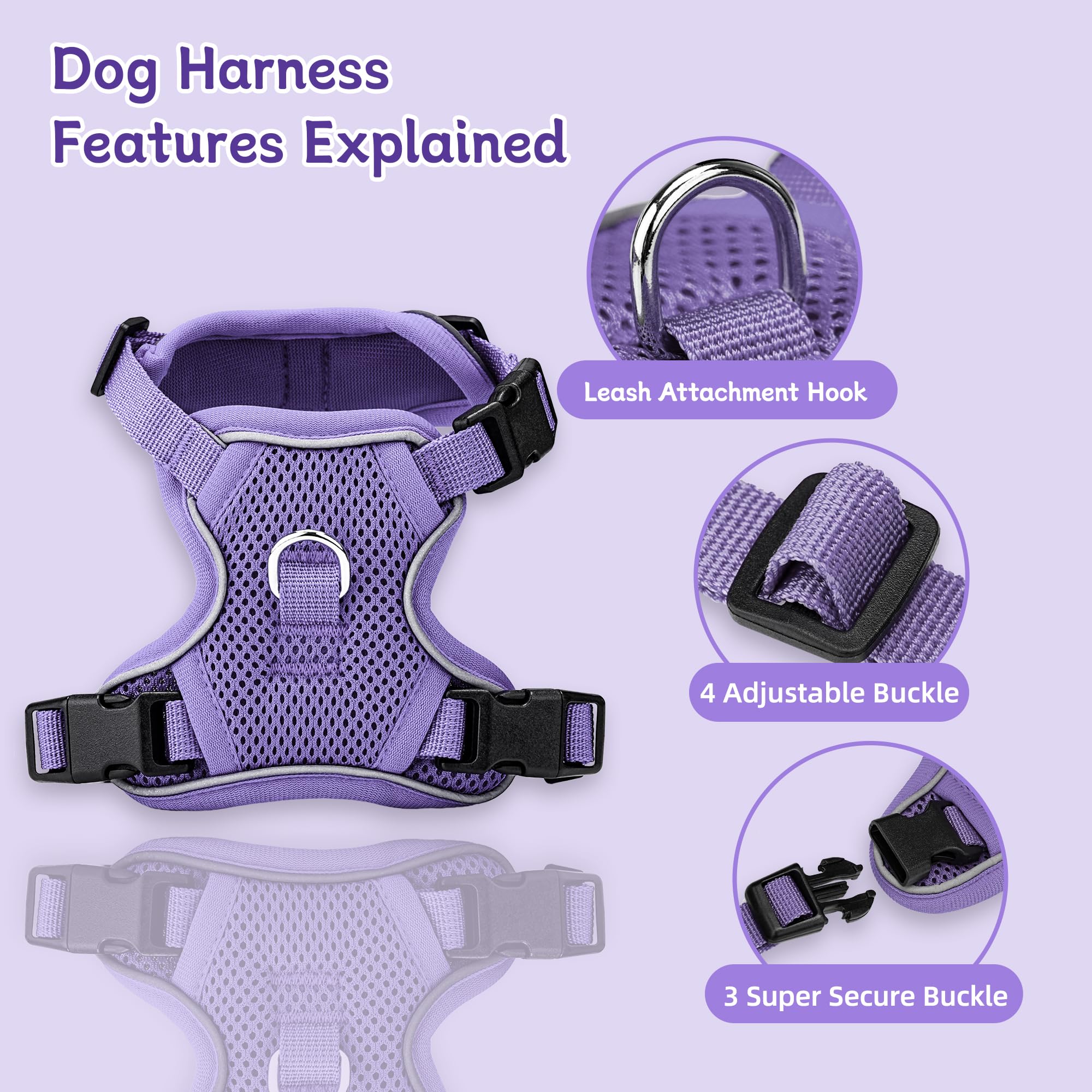 Ychpaw purple harness with leash set during walks, visible and comfortable