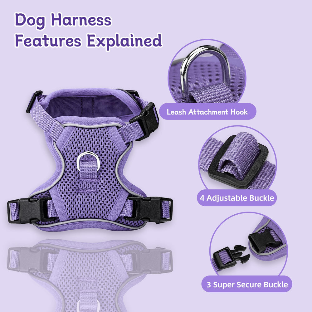 Ychpaw purple harness with leash set during walks, visible and comfortable