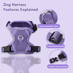Ychpaw purple harness with leash set during walks, visible and comfortable