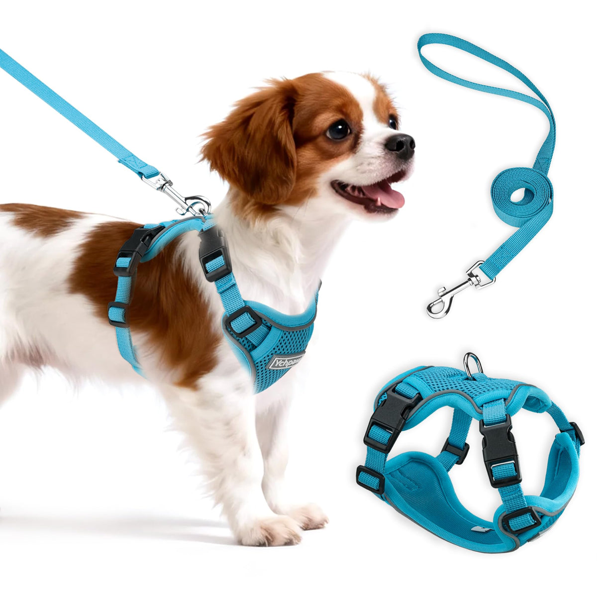 Ychpaw small dog harness turquoise front view with reflective mesh for safer daytime walks.