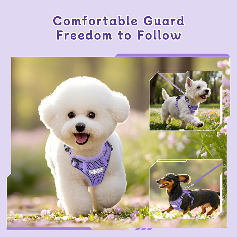 Ychpaw visibility for morning and evening walks in real-life outing scenarios.