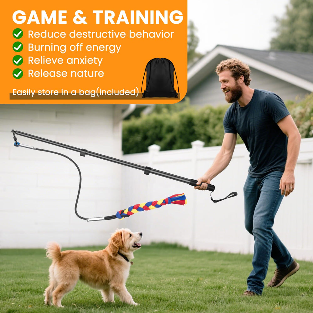 Ycozy Flirt Pole dog chasing action during outdoor play