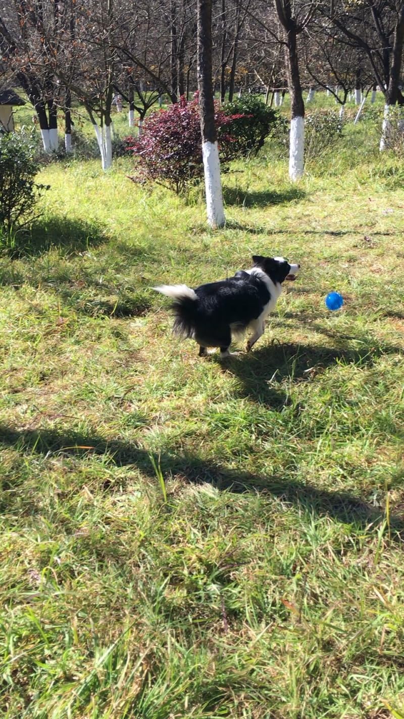 Ycozy storage bag included keeps toys organized for easy cleanup.