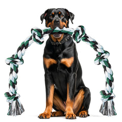 Ycozy XXL 6-Knot Rope Toy 40in ideal for tug-of-war and heavy chewers.