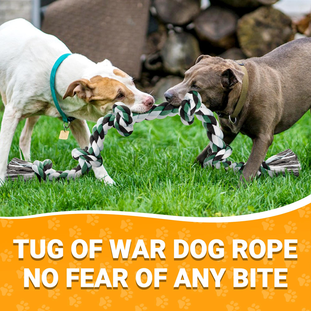 Ycozy multicolor rope toy ready for fetch and chew.