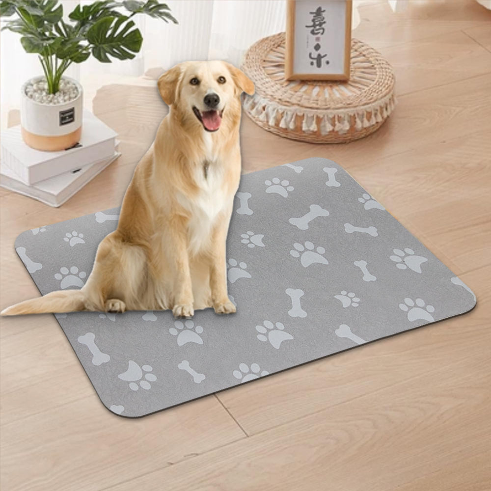 YCT mat creates a tidy feeding zone for multiple pets.
