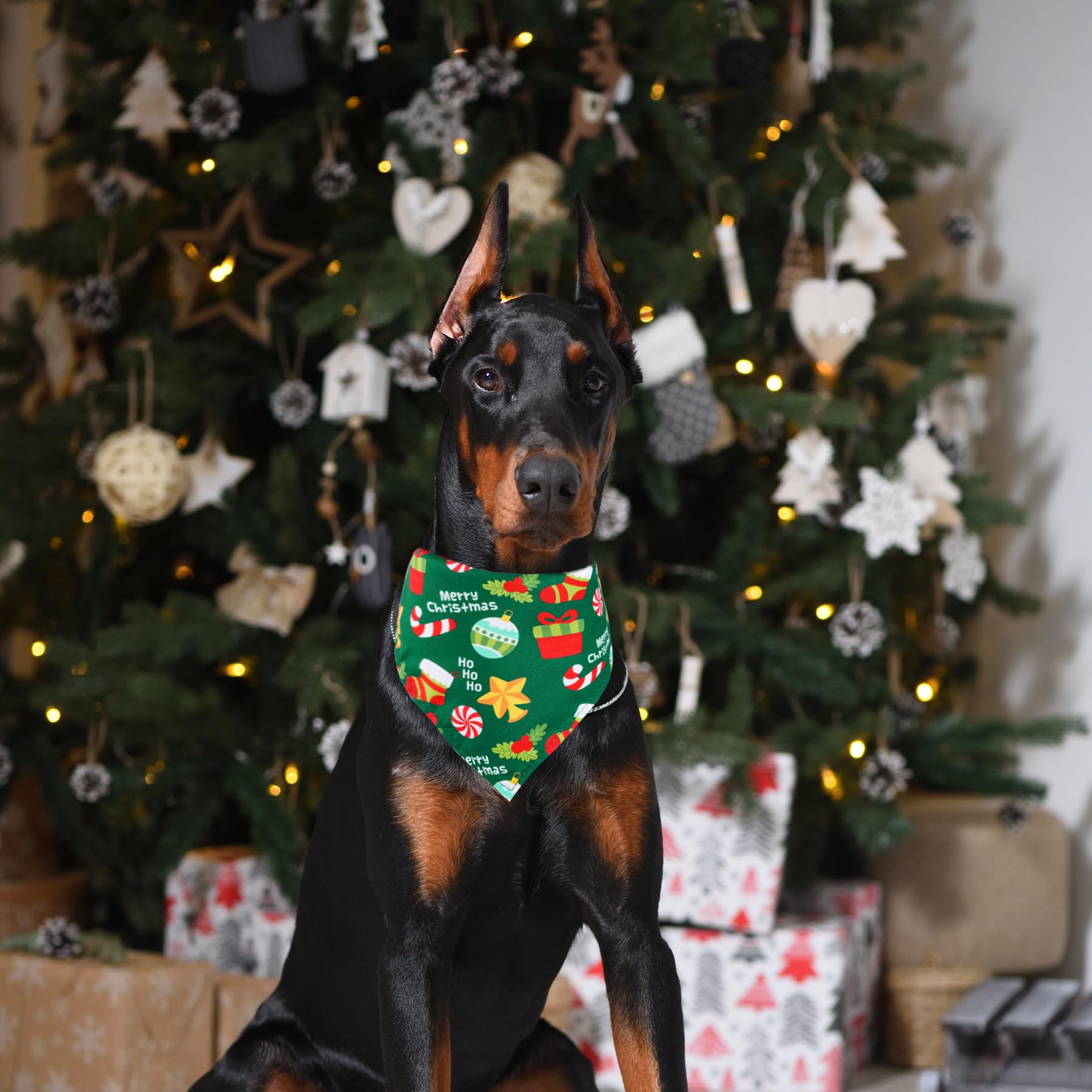 yeabwps triangle dog scarf stocking motif adds Christmas charm and photos.