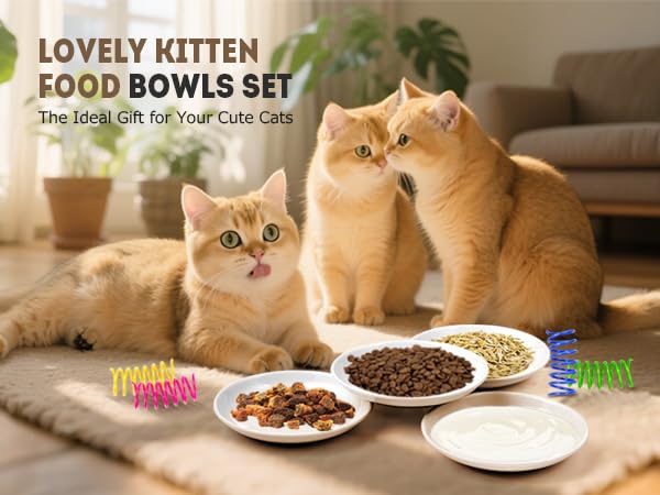 Yeahgo cat bowls support separate meals, water, or snacks with a neat setup